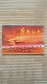 巧虎足球传送门