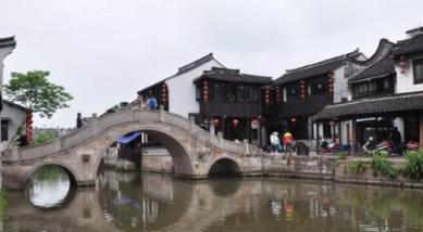 可爱的小考拉