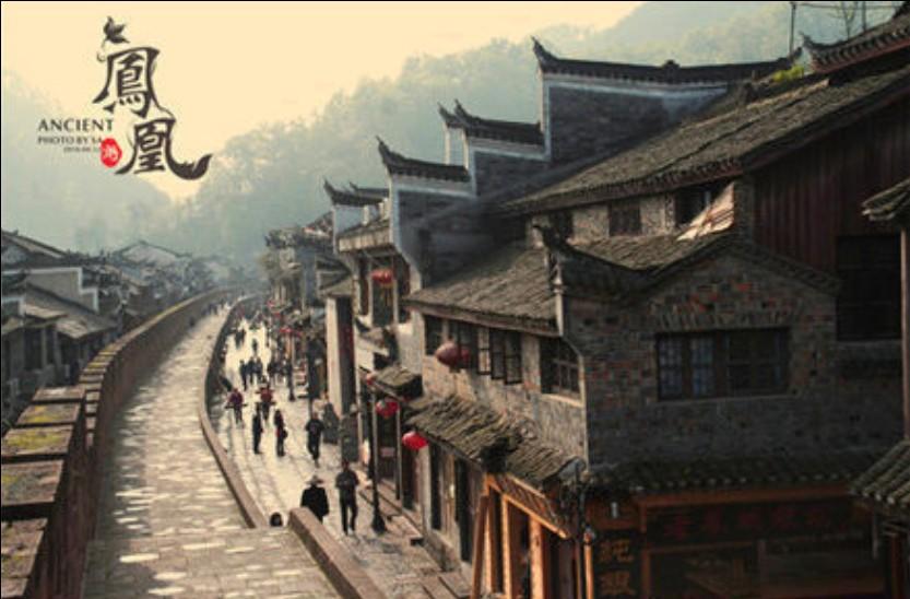 救援老画家